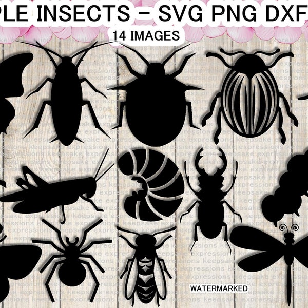 14 Insect SVG cutting files - Insect DXF files - Insect PNG files - Insect .eps files - 14 different images if your into bugs :)