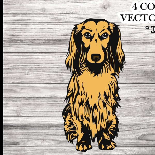 Long hair dachshund SVG file - 4 color file - Dachshund SVG - Long Haired Dachshund svg cutting file - dachshund vector file