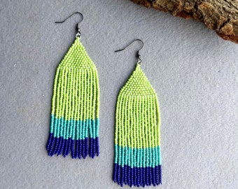 Long Seed Bead Fringe Earrings For Women