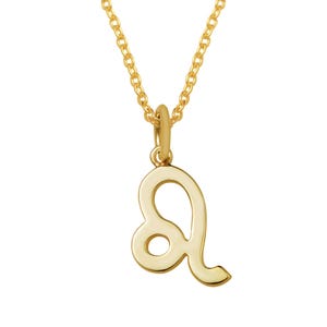 Leo Horoskop Kette, Leo Sternzeichen Halskette, Leo Geburtstag Geschenk, Leo Astrologie Geschenk, Weihnachtsgeschenk, Leo Zeichen Halskette