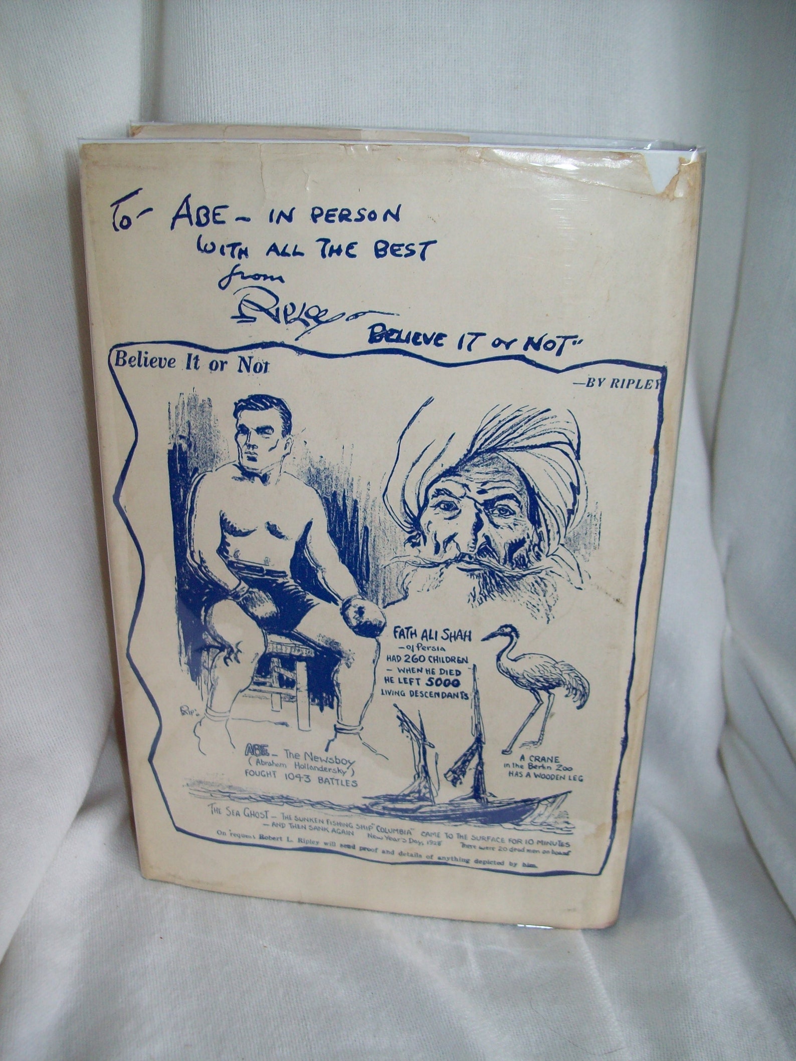 The Life Story of Abe the Newsboy, Hero of a Thousand Fights by Abe Hollandersky The Life Story of Abe the Newsboy, Hero of a Thousand Fights by Abe Hollandersky