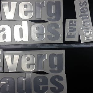 Everglades-bootemblemen 33" chroom + GRATIS SNELLE levering DHL Express - Stickersset - Grafische sticker