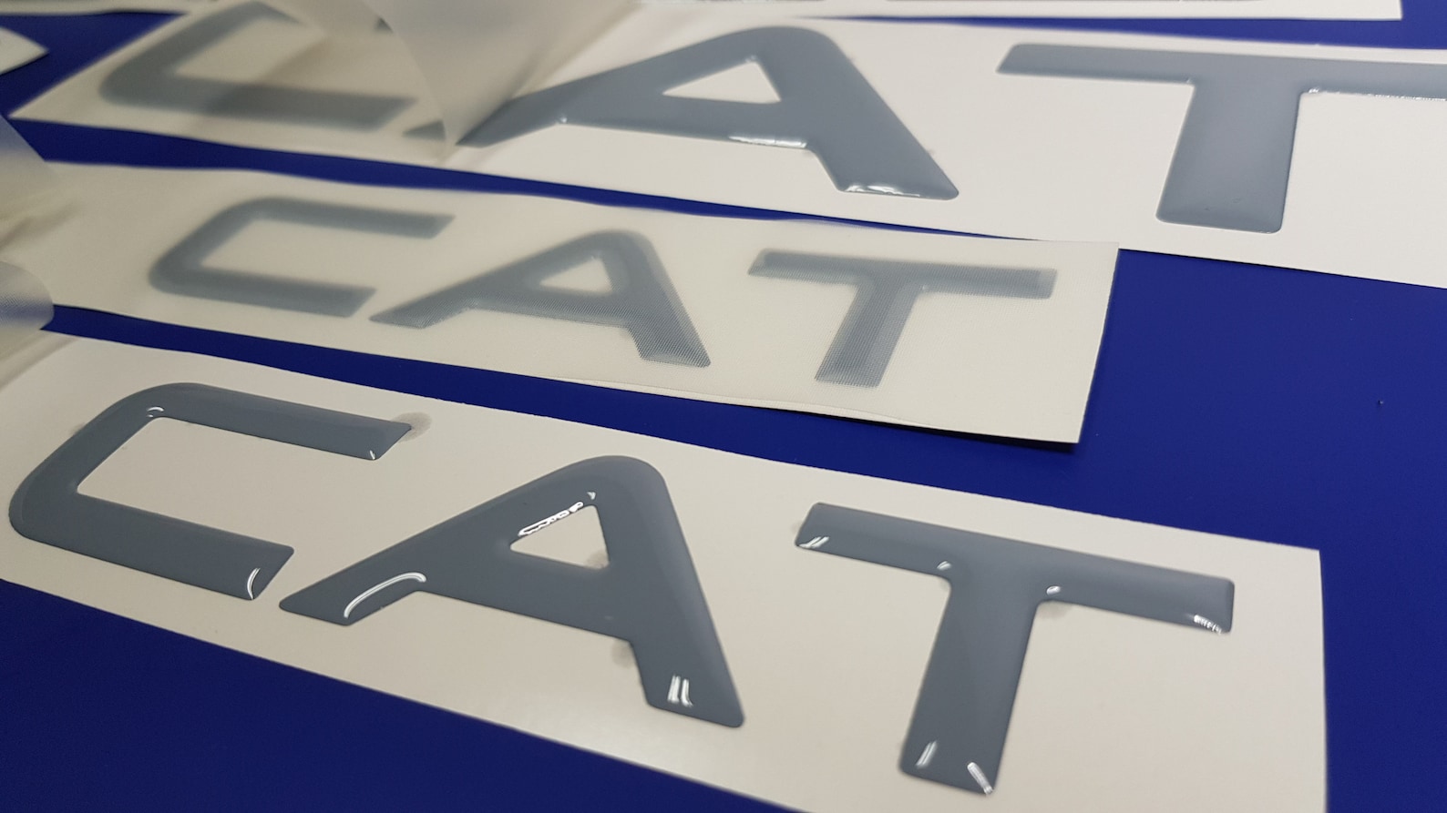 World Cat Boat Emblems 40 FREE FAST Delivery DHL Etsy