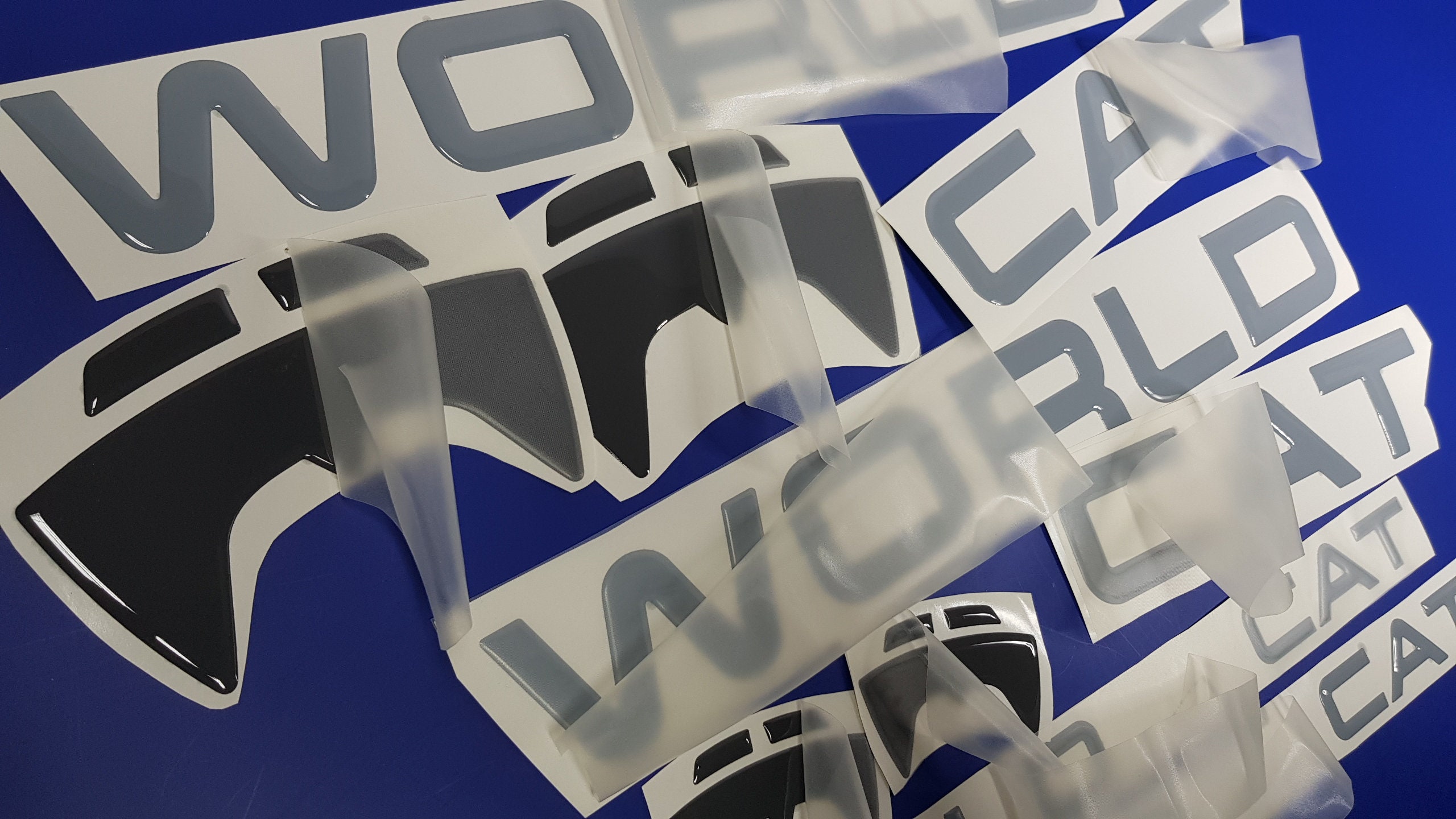 World Cat Boat Emblems 40 FREE FAST Delivery DHL Etsy