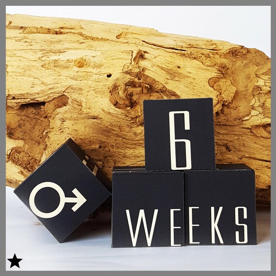 baby milestone cubes