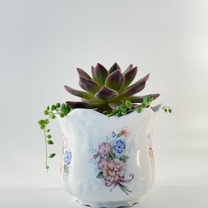 Brosnic Victoriana Bone China Planter – English Floral Cachepot with Scalloped Rim (Nursery Pot Included)