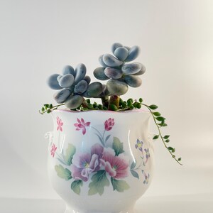 Royal Grafton Amoureuse Bone China Planter - Pink Floral Footed Cachepot - Empty Nursery Pot Included