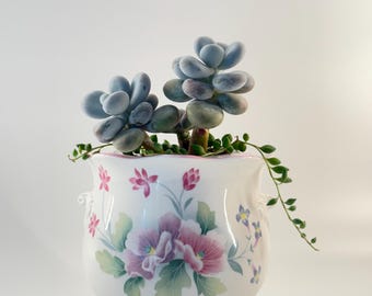 Royal Grafton Amoureuse Bone China Planter - Pink Floral Footed Cachepot - Empty Nursery Pot Included