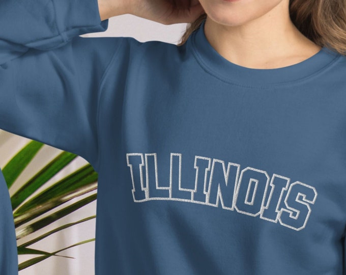 Illinois Embroidered Sweatshirt, USA Sweater, Prairie State, Retro Chicago Football Hoodie, Vintage Collegiate Unisex Crewneck Oversized