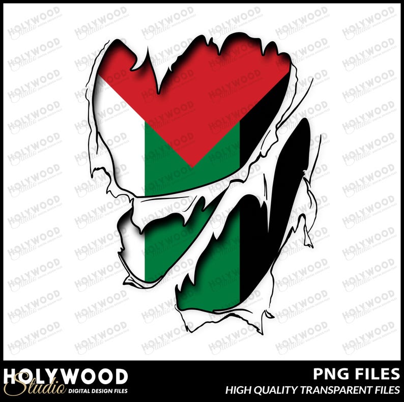 Palestinian Flag Ripped Effect Digital Design Download, Palestine Pride ...
