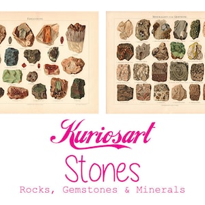 Può includere: Due illustrazioni vintage di diverse pietre preziose e minerali. La prima illustrazione è intitolata "Edelsteine" e presenta una varietà di pietre preziose colorate. La seconda illustrazione è intitolata "Mineralien und Gesteine" e presenta una varietà di rocce e minerali.