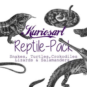 DOWNLOAD Reptile-Pack: 28 Antique Illustrations of Frogs, Crocodiles, Snakes, Turtles & Lizards | Self-Print | Collage | Clip-art