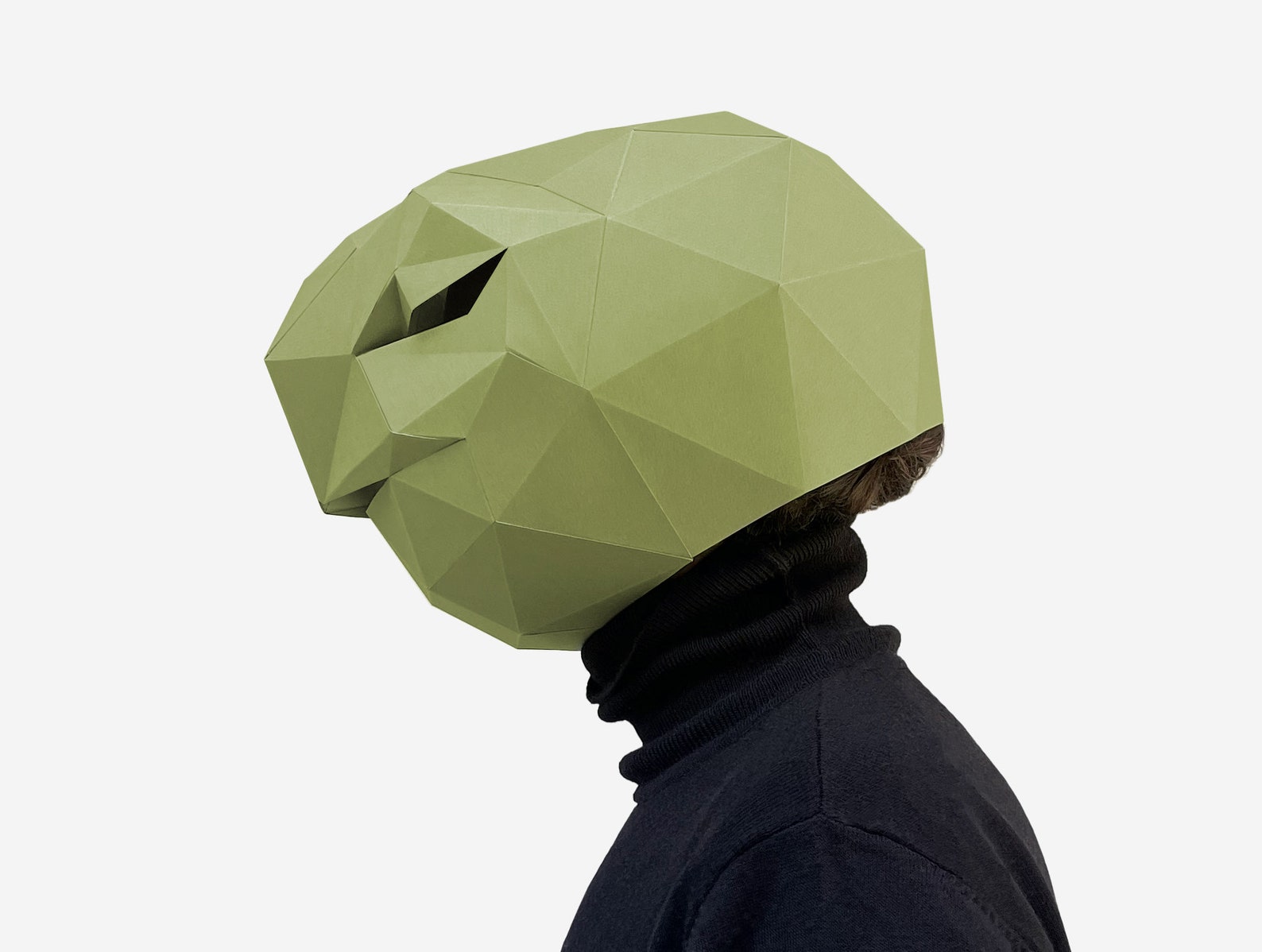 Turtle Mask, Tortoise Paper Craft Template, DIY Printable Animal Mask ...