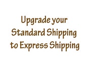 Custom Listing for Upgrading your Standard Shipping to Express Delivery