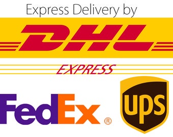 Express Delivery