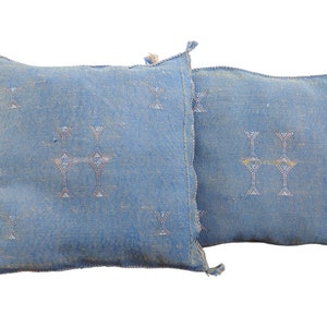 Set of two Handmade Cactus silk pillows cases