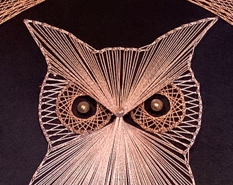 String Art Owl Picture