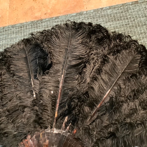 Antique Ostrich Feather Fan - Gem
