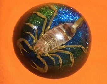 Scorpion Paperweight