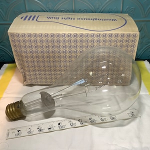 Huge 1000 Watt Filament LightBulb