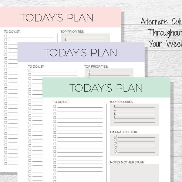 Daily Planner Printable - Today's Plan - Daily Schedule - Daily To Do List - Elegant Planning - Daily Organizer - Planner Download - Simple