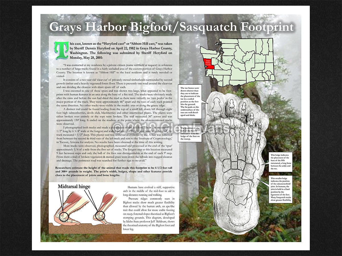 Mid-tarsal Break Bigfoot/sasquatch Footprint Cast Poster