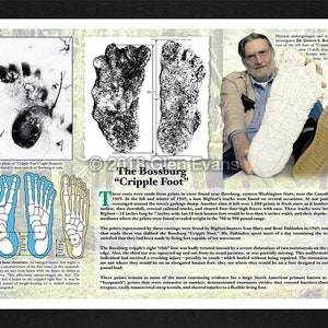 Może przedstawiać: Czarno-białe zdjęcie dużego śladu stopy w śniegu. Ślad jest oznaczony jako "The Bossburg "Cripple Foot". Tekst wyjaśnia, że ślad został znaleziony we wschodniej części stanu Waszyngton, w pobliżu granicy kanadyjskiej w 1969 roku. Tekst opisuje również rozmiar i głębokość śladu.