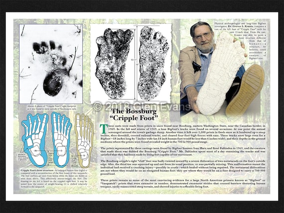 洋書 Big Footprints by Krantz 洋書 Big Footprints by Krantz Big Footprints : A Scientific