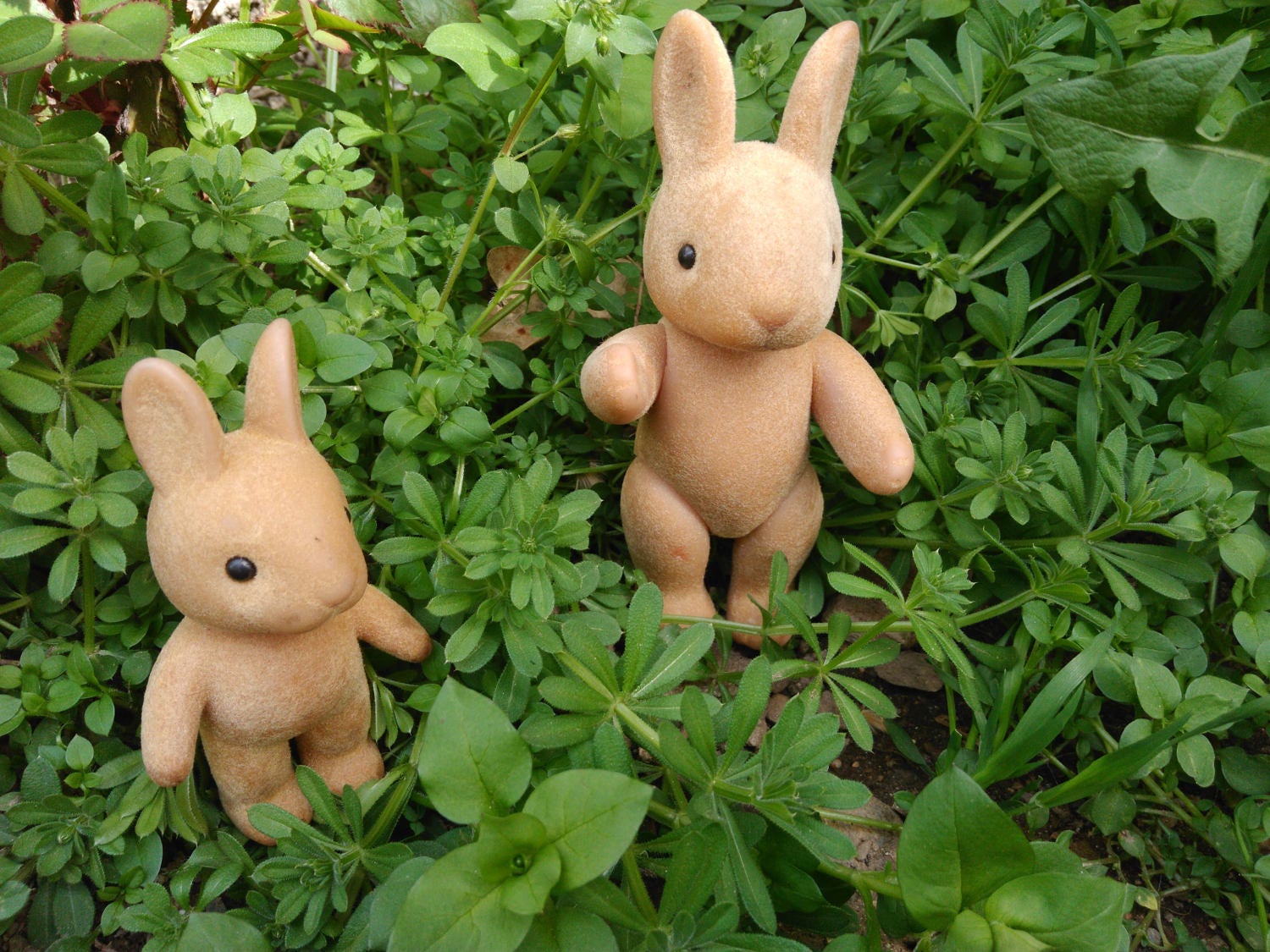 little bunnies toys