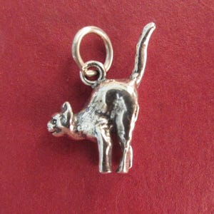 Sterling Silver 3D Spooked Cat Halloween Charm Pendant - 2.71 Grams - Please See Photos