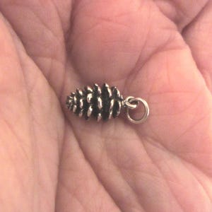 May include: A silver charm in the shape of a pine cone. The charm has a loop for attaching to a bracelet or necklace.