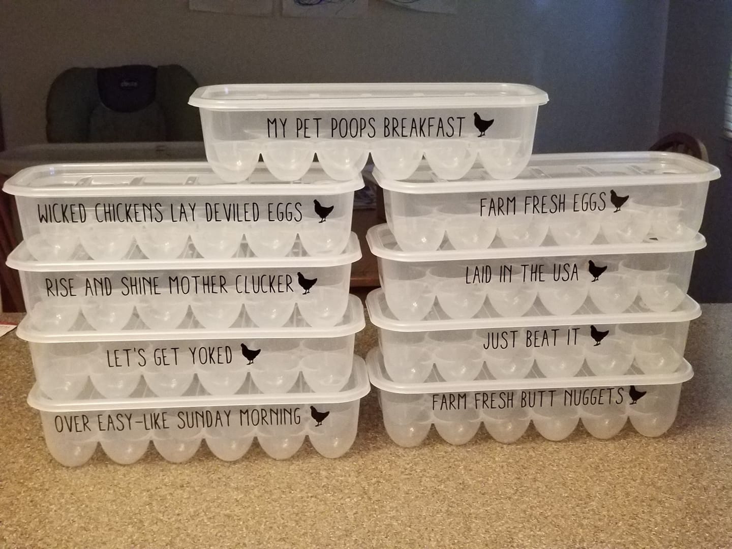 Reusable Egg Tray With Lid Funny Chicken Gift Plastic Egg Etsy