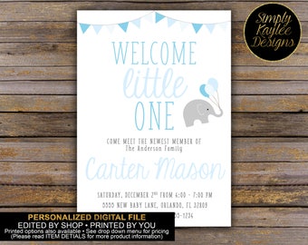 Welcome Little One Baby Viewing Party Invitation