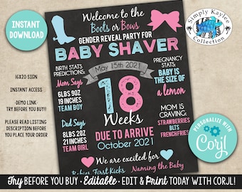 Boots or Bows Gender Reveal Party Pregnancy Sign