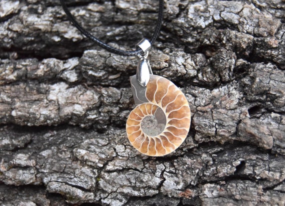 Real fossil necklace outlet