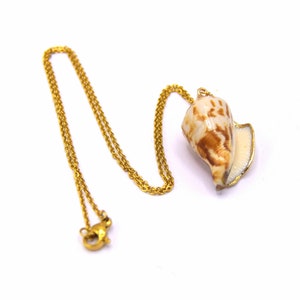 Necklace pendant shell gold stainless steel, gift woman, jewelry summer