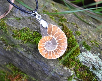 Collana con ciondolo fossile di ammonite autentica 4 cm, regalo con ciondolo a conchiglia, lumaca fossile, gioielli preistorici,