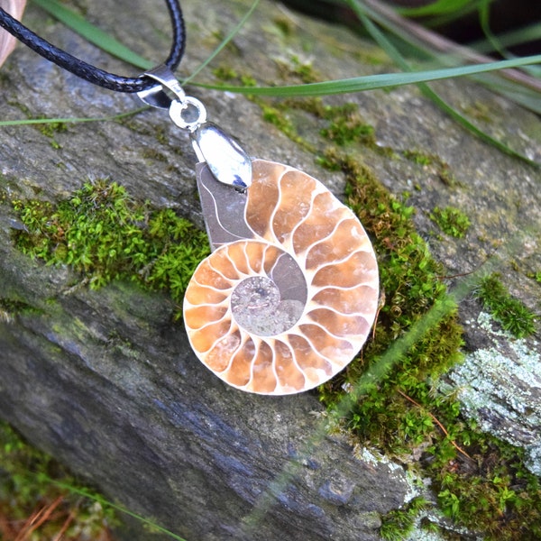 Genuine Ammonite fossil pendant necklace 4 cm, shell pendant gift, fossil snail, prehistoric jewelry,