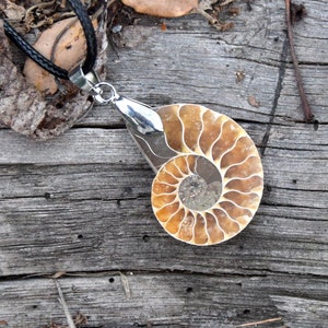 Genuine Ammonite Fossil Pendant Necklace 4cm, Shell Pendant Gift, Fossil Snail, Prehistoric Jewelry,