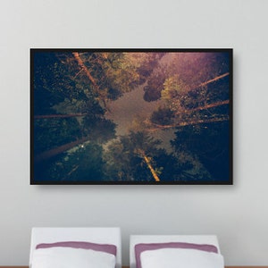 Memories By the Fire, Fine Art Canvas Gallery Wrap, Nature Photography, Trees, Camping, Nighttime Starry Sky Wall Décor