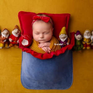 Snow White pocket with a backdrop. Newborn photo props