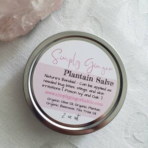 Organic Plantain Salve ll  Nature&#39;s Band Aid  ll Bug Bite Salve ll Plantain ll  Bug Bites ll Summer Fun