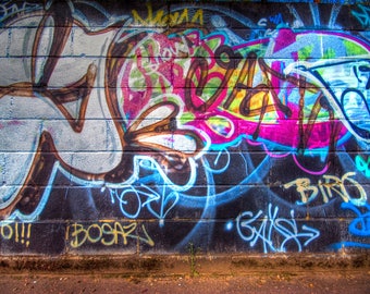 LB 9x6ft Street Brick Wall Graffiti Photography Backdrop Vinyl Customized Photo Background Studio Prop TY49 LB 9x6ft Street Brick Wall Graffiti Photography Backdrop Vinyl Customized Photo Background Studio Prop TY49