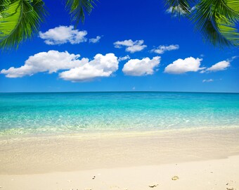 beach backdrop etsy