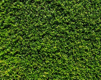 Grass wall backdrop | Etsy