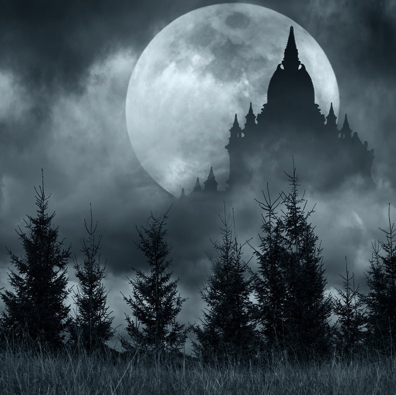 dark woods moon dark woods moon