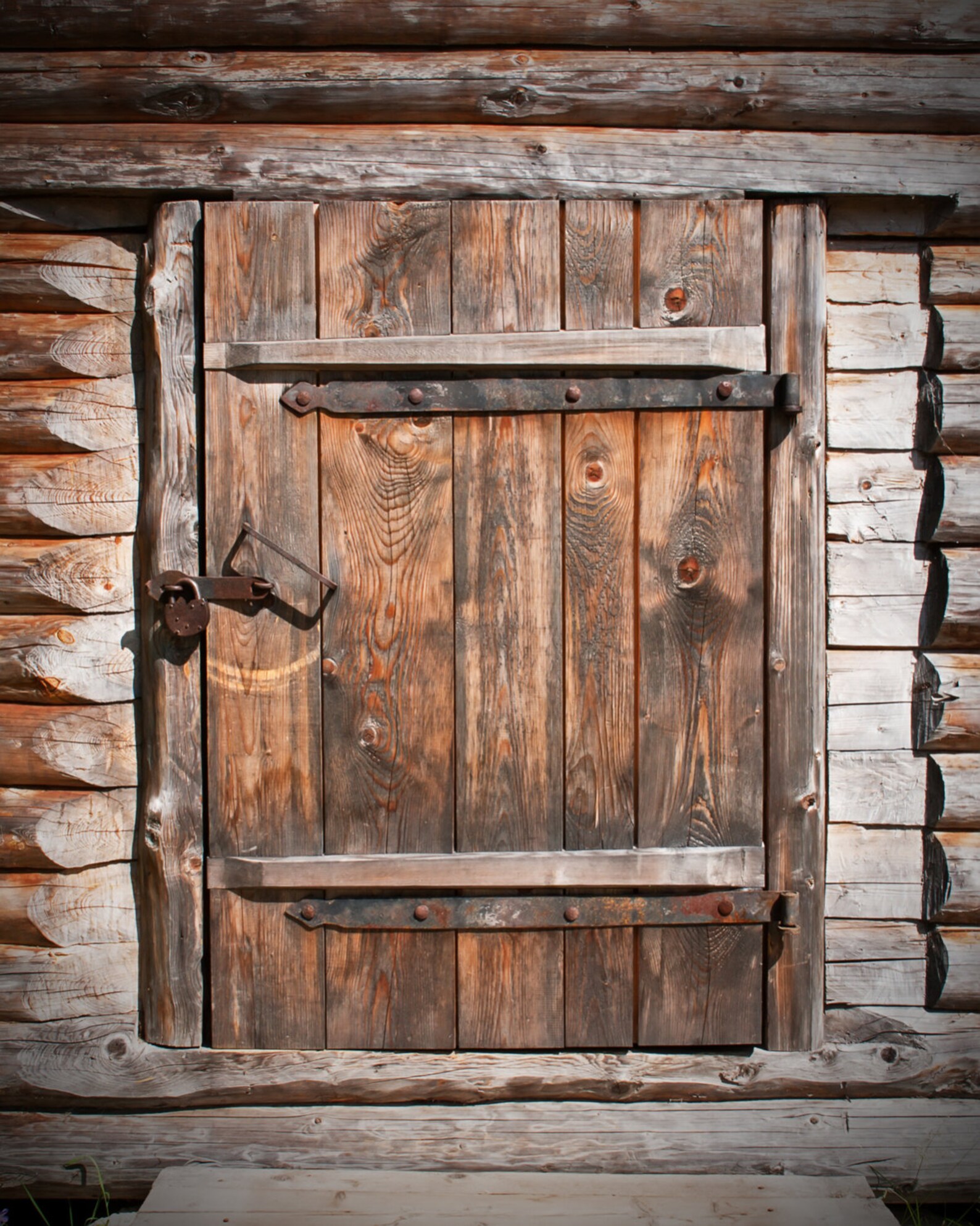 Old Wood Door Backdrop rustic barn door Printed backdrop | Etsy
