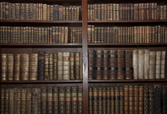 bookshelves backdrop old bookcase