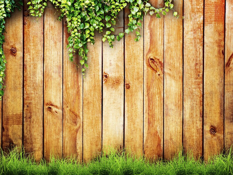 green grass backdrop green grass backdrop