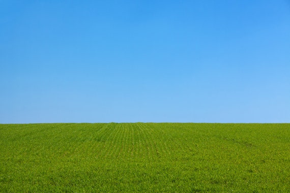 Green Grass Land Backdrop Blue Sky Scenic Printed Etsy